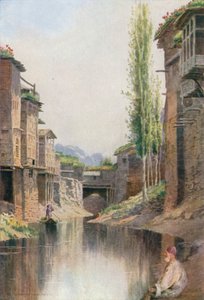 In the Mar Canal, Srinagar